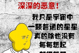 桓台为什么选择专业追讨公司来处理您的债务纠纷？